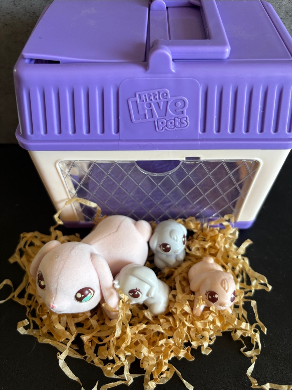 Small Pet Carrier: Hutch Playset